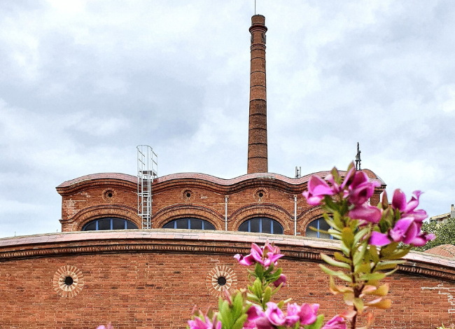 Visita guiada deixa't seduir